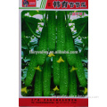 Chinese Vegetable Seeds Cucumber Seeds For Yourself Cultivation-Japanese Pod Crisp